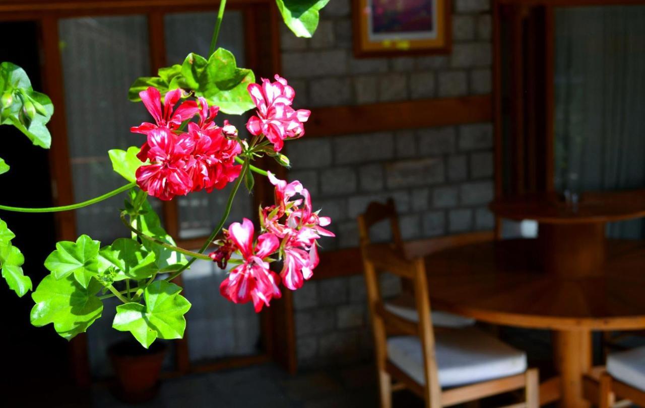 Holiday Home International -Vivaan Stays Manāli Εξωτερικό φωτογραφία